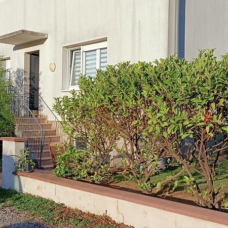 Appartamento Strasbourg 3 Pieces Avec Jardin Brumath Esterno foto