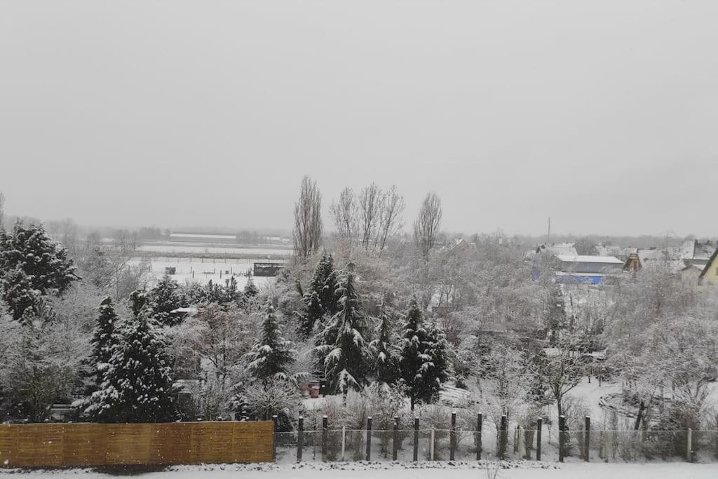 Appartamento Strasbourg 3 Pieces Avec Jardin Brumath Esterno foto
