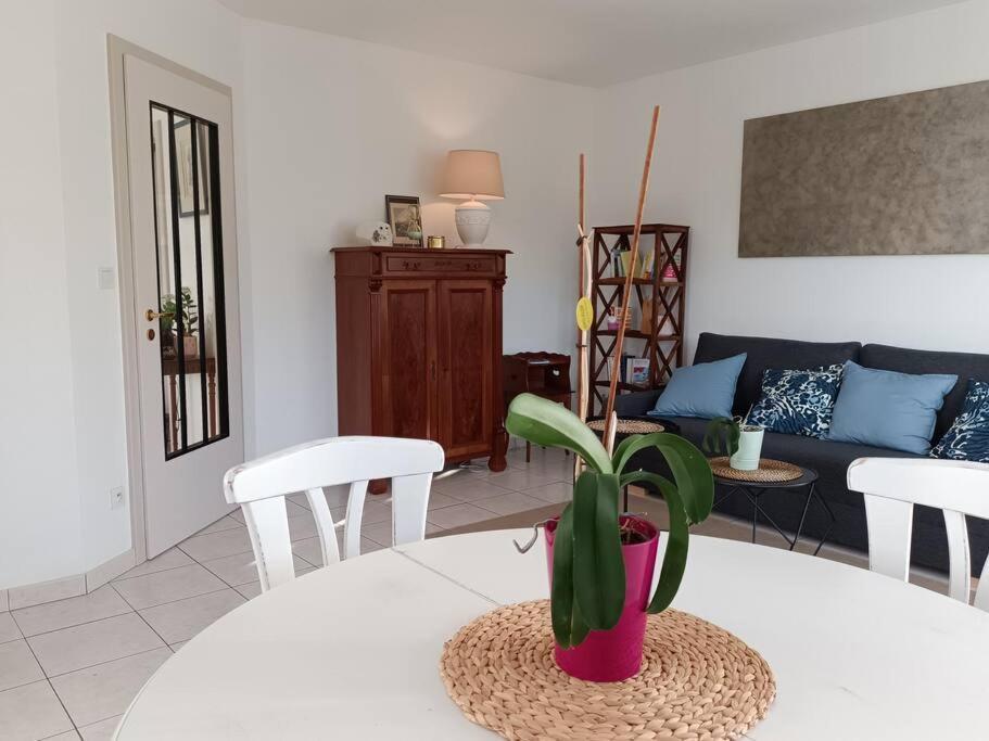 Appartamento Strasbourg 3 Pieces Avec Jardin Brumath Esterno foto