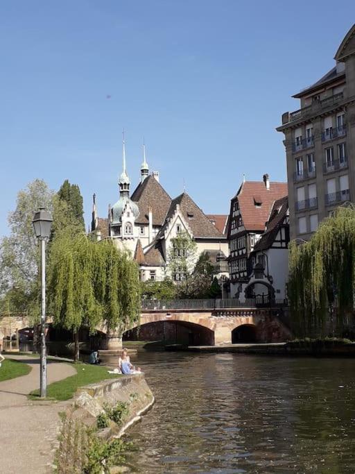 Appartamento Strasbourg 3 Pieces Avec Jardin Brumath Esterno foto