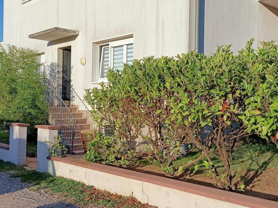Appartamento Strasbourg 3 Pieces Avec Jardin Brumath Esterno foto